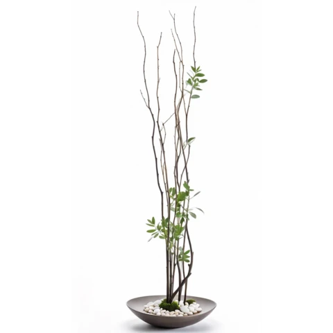 Ветки весеннего дерева с листьями. В 150