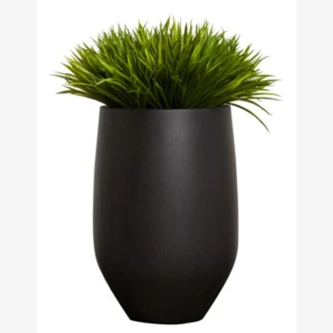 Осока в чёрном кашпо, В 67