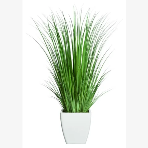 Осока в кашпо, В 105