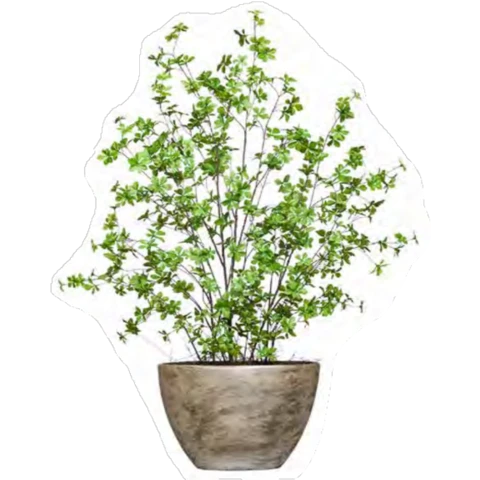 Ветки весенние в кашпо, В 100