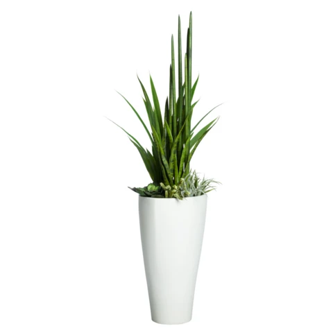 Сансевиерия и суккуленты в кашпо, В 130