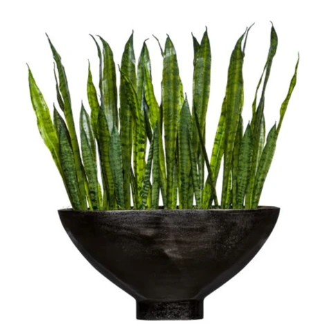 Сансевиерия в кашпо, В 90