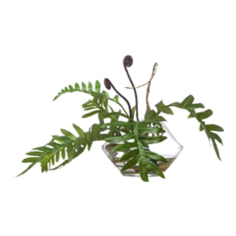 Листы филодендрона в стеклянной вазе, В 20