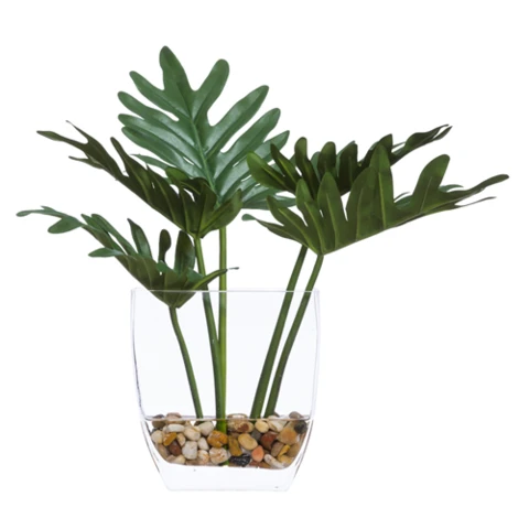 Листы филодендрона в стеклянной вазе, В 27