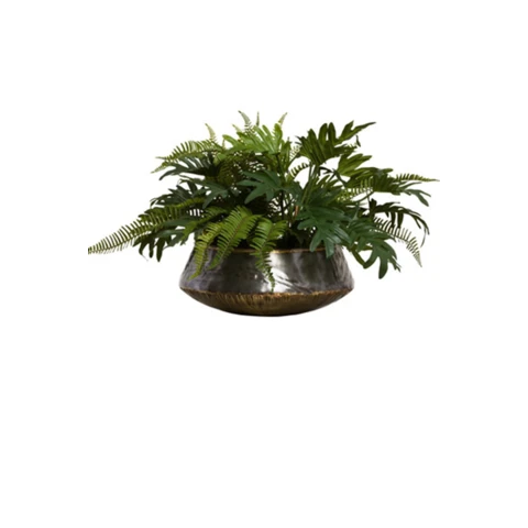 Филодендрон и папоротник XS в кашпо, В 25