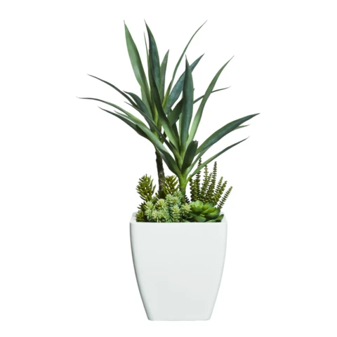 Юкка с суккулентами, В 90