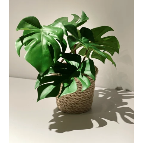 Монстера в джутовом кашпо, В 26 Ш 33