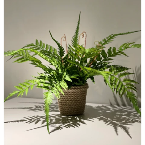 Папоротник в джутовом кашпо, В 33 Ш 36