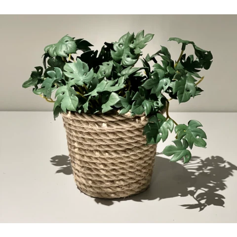 Филодендрон в джутовом кашпо, В 20 Ш 18