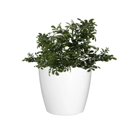 Перексия, Д 10 В 17