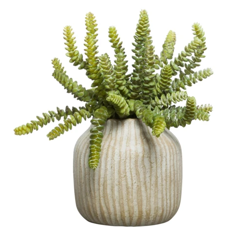 Искусственны суккулент в керамической вазе Седум. В 19