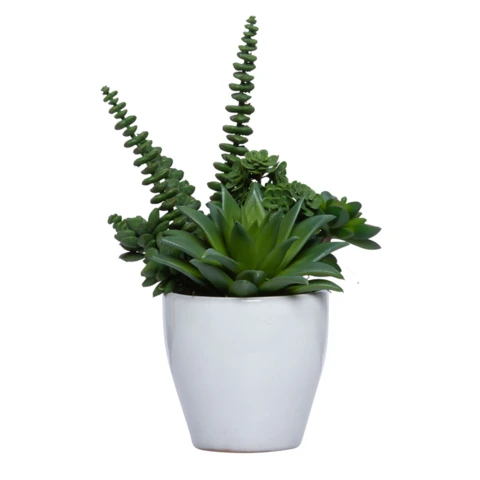 Микс искусственных суккулентов в керамической вазе, В 21