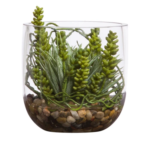 Микс суккулентов в стеклянной вазе, В 18 Д 15