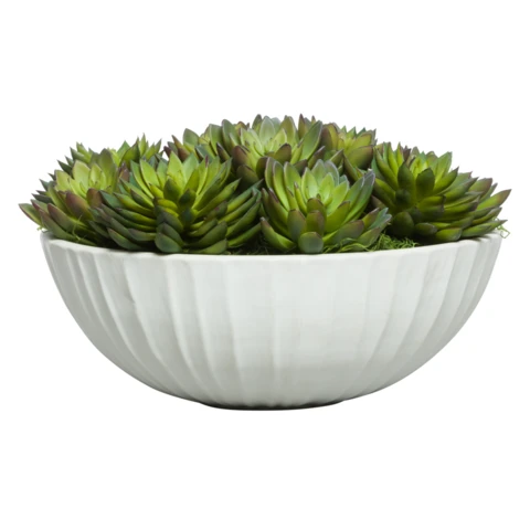 Микс суккулентов с эхеверией, В 15 Д 21