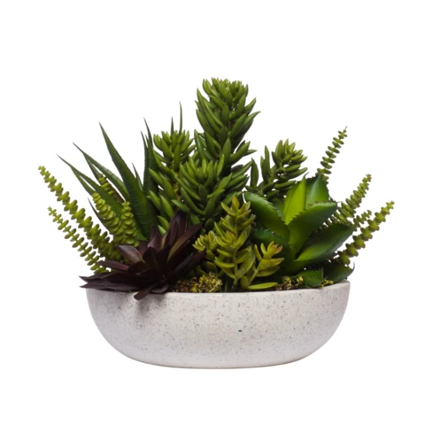 Микс суккулентов Эхеверия в белом кашпо, В 25 Д 22