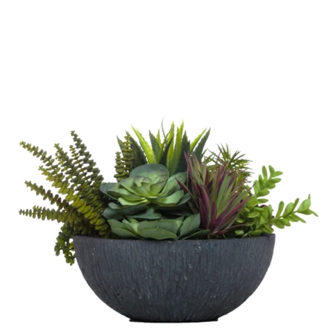 Микс суккулентов с Марнье, В 21, Д 22