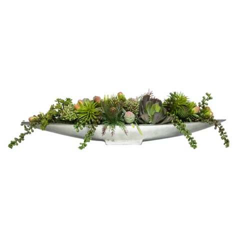 Микс суккулентов в кашпо лодочке, В 20 Д 65 Ш 16