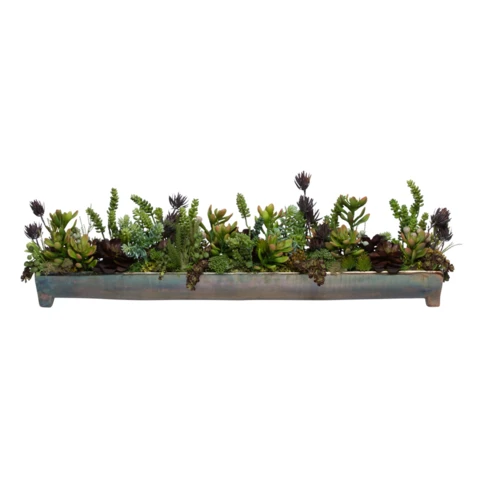 Микс суккулентов в деревянной лодочке, В 15 Д 70 Ш 15