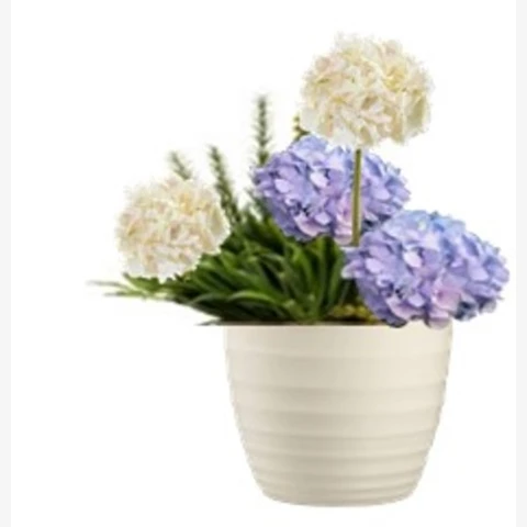 Букет с гортензией и суккулентами в кашпо, В 30