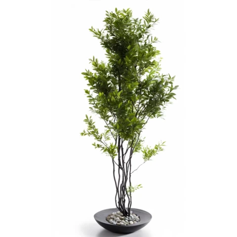 Ветки дерева с листьями. В 200