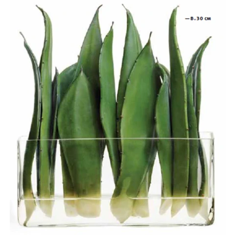 Листья Алоэ в стеклянной вазе, 30*30*9