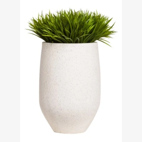 Осока в белом кашпо, В 67