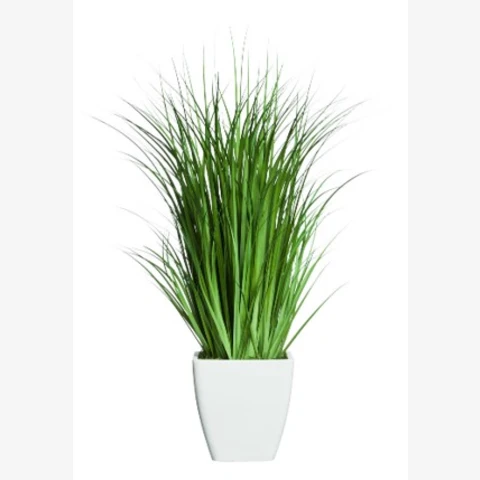 Осока в кашпо, В 80