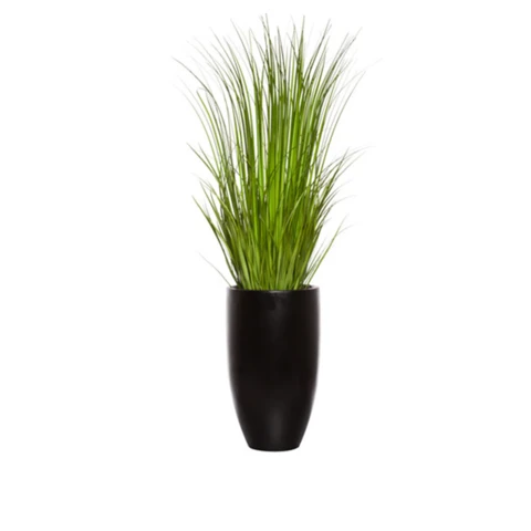 Осока в кашпо, В 140