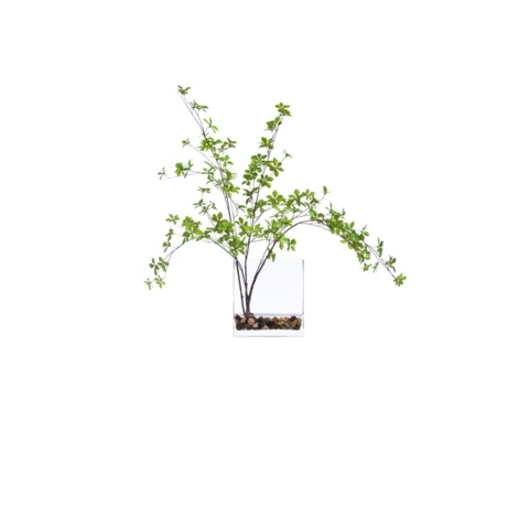 Ветки весенние в вазе, В 35