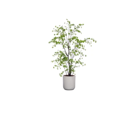 Ветки весенние в кашпо, В 130