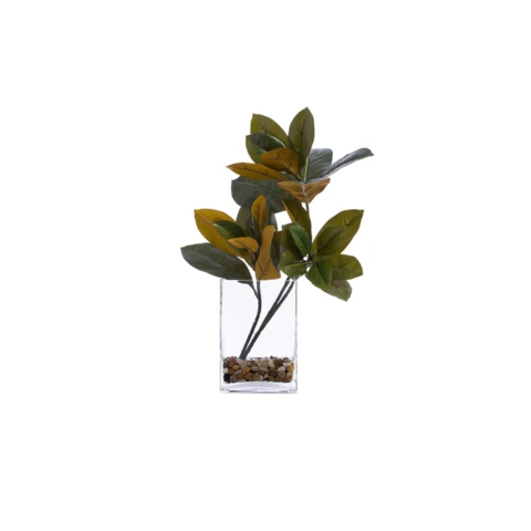 Листы Магнолии, в стеклянной вазе, В 35