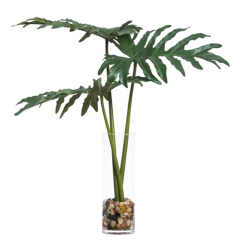 Листы филодендрона в стеклянной вазе, В 50