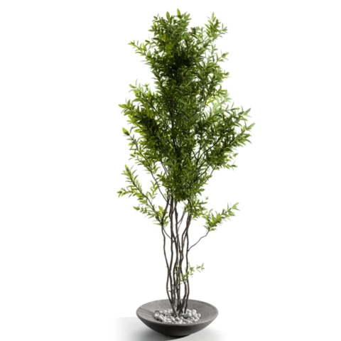 Филодендрон в высоком кашпо, В 110