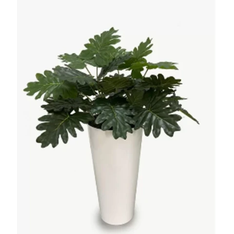 Филодендрон в высоком кашпо, В 130