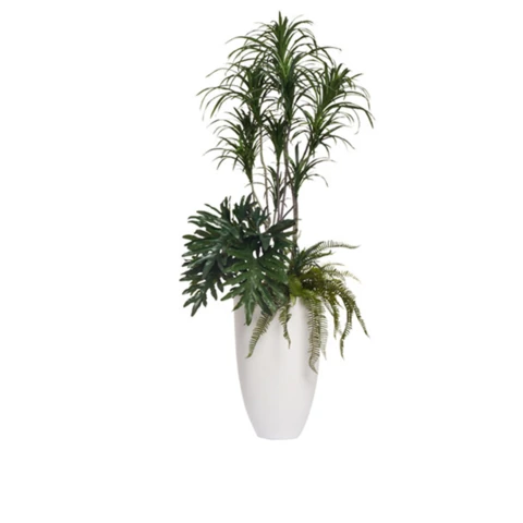 Драцена с папоротником, В 170