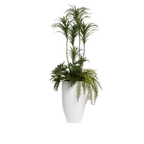 Драцена с папоротником, В 175