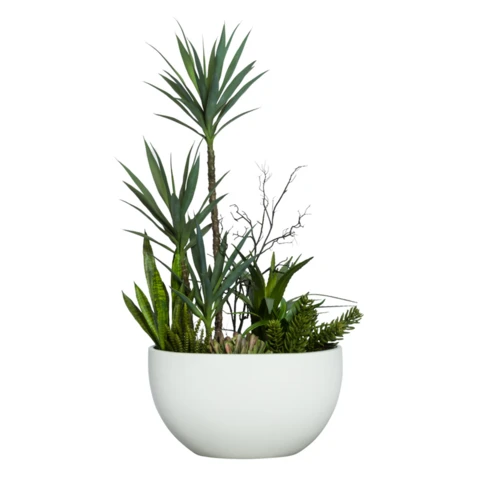 Драцена с суккулентами, В 140