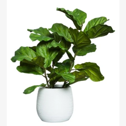 Кашпо с искусственным растением Лирата, В 60