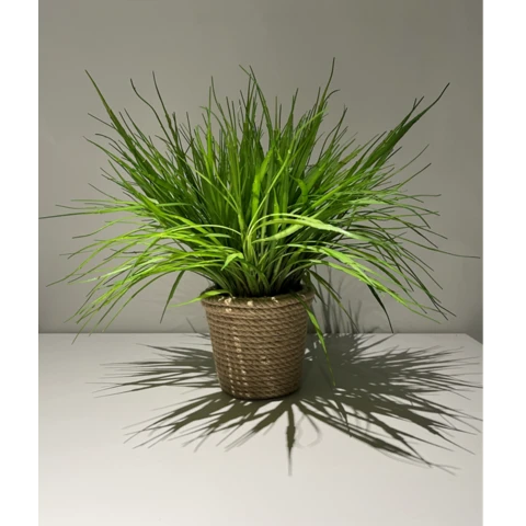 Трава Осока в джутовом кашпо, В 33 Ш 40