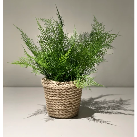 Аспарагус в джутовом кашпо, В 30 Ш 25