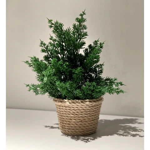 Ель в джутовом кашпо, В 33 Ш 20