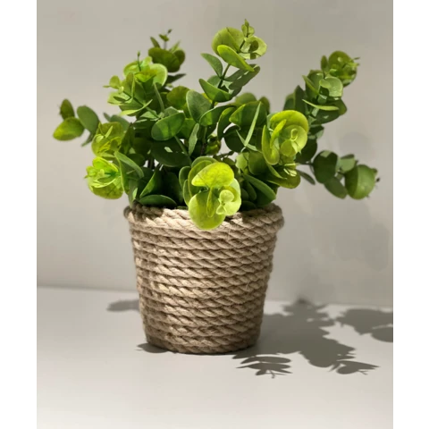 Эвкалипт Бэби в джутовом кашпо, В 25 Ш 20