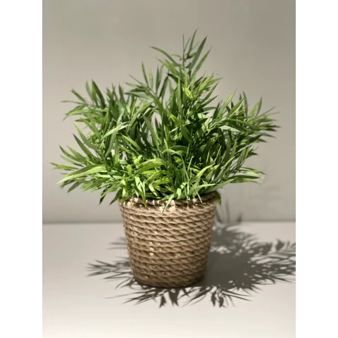 Бамбук в джутовом кашпо, В 25 Ш 20