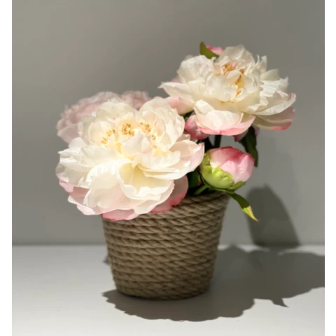 Пионы в джутовом кашпо, В 25 Ш 22