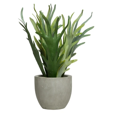 Искусственный суккулент в керамической вазе Стегхорн. В 35