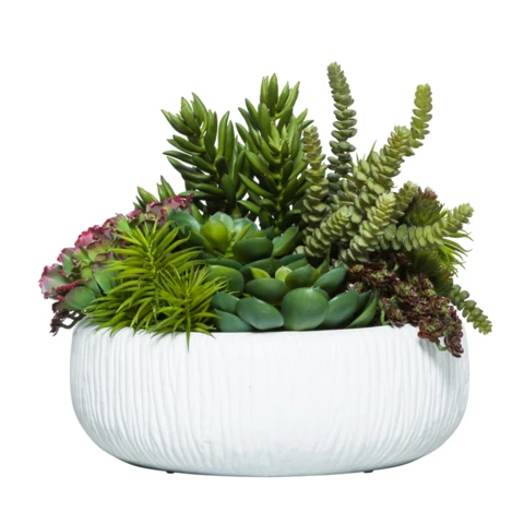 Микс суккулентов с роули, В 12 Д 16