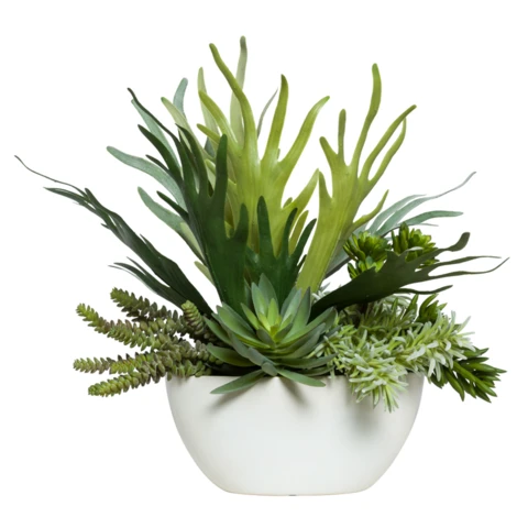 Микс суккулентов со Стагхорном в кашпо, В 28 Д 25