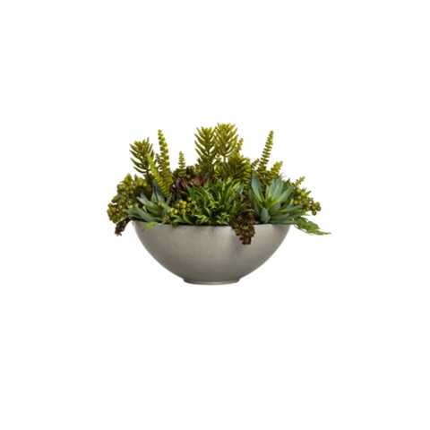 Микс суккулентов с Марнье, В 29, Д 26