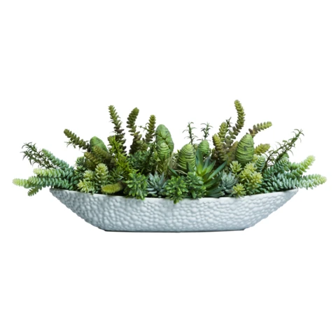 Микс суккулентов с Марнье, В 18 Д 35 Ш 12