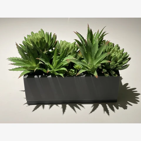 Кашпо с искусственными суккулентами В 15 Д 22 Ш 6